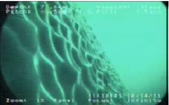 Figure 1-1. Under-ice terrain (low contrast and repetitive ice-texture) on the 