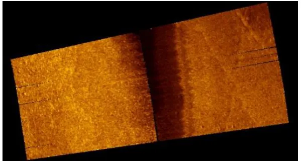 Figure 1-2. Side-scan sonar image with lack of significant features 