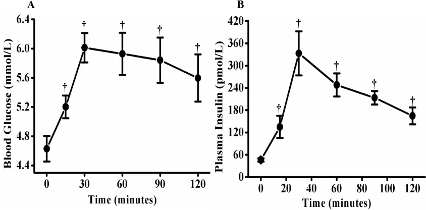Figure 3.2: Blood glucose (A) and plasma insulin (B) timelines in response to the 