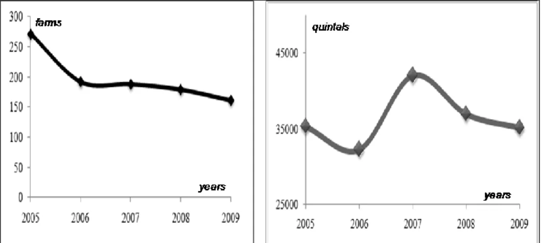 Figure 2. San Marzano PDO: number of farms and quintals produced per year 