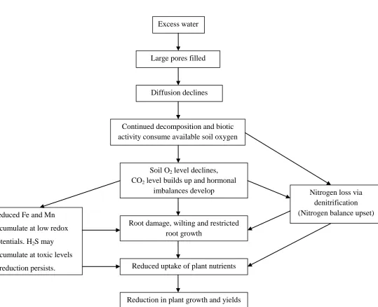 Figure 2.4: Summary of processes leading to reduction in plant growth and yields due to 