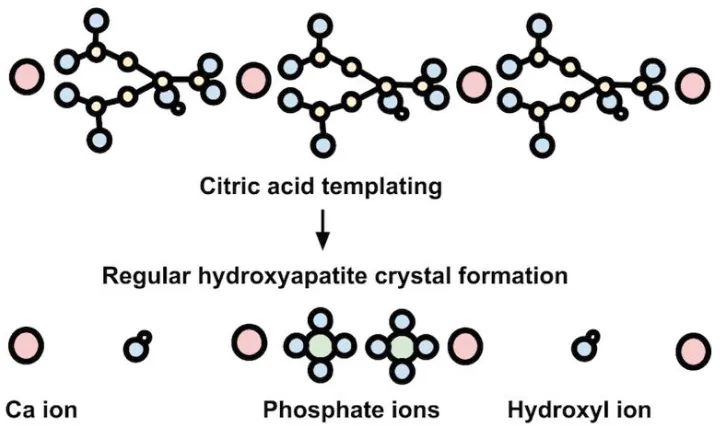 Figure 3.2: Adding citric acid increases of regularity of the crystals since it can actas a template for their formation