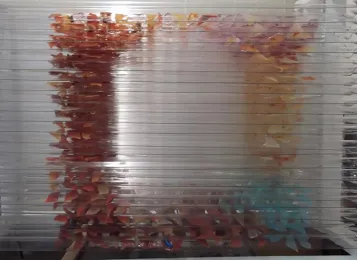 Figure 3ii: Juneo Lee, Three-Dimensional Photo Frame, side view, June 2012, polymer on clear polycarbonate roofing sheet, dimensions variable