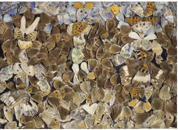 Figure 11: Kurt Schwitters, The Kots Picture, 1920, collage, 27 x 19.5 cm. 