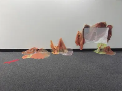 Figure 20ii: Juneo Lee, Attempt to Create Harmony, detail, March 2011, polymer and rice paper, dimensions variable