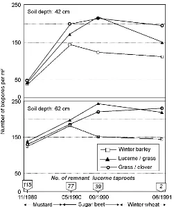 Figure 1. Density of biopores in the subsoil as a function of different precrops, soil depth and time 