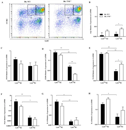 Figure 3.2.4: Expression of activation markers by Ly6ChiR1 and Ly6ClowR2 monocytes in the 