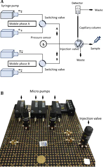 Fig. 1.5 The schematic (A) and photograph (B) of the miniaturised injection valve and 