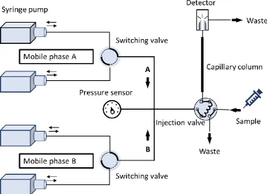 Fig. S1. The schematic of the miniaturised LC system. 