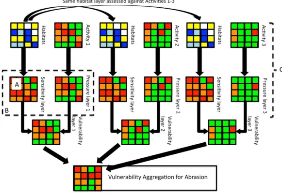 Figure 2: From activities to vulnerability assessment layers. Point 'A' indicates the part in the  process where the sensitivity information on species or habitats to a given pressure is  provided