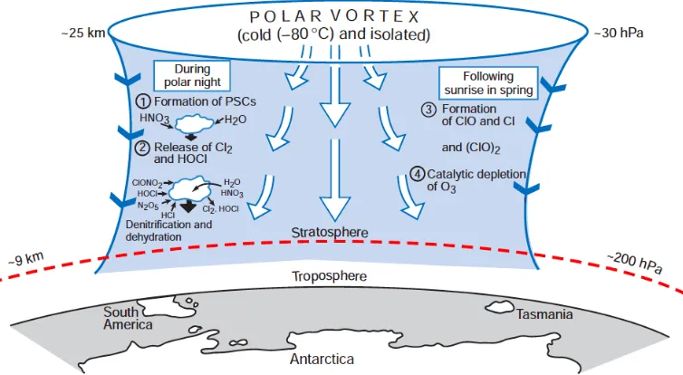Figure 1.3 – Polar vortex over Antarctica. Large arrows show cold descending air. 1-4 show atmospheric chemistry taking place inside the vortex