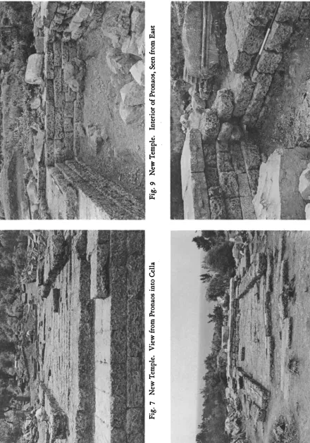 Fig. 7 New Temple. View from Pronaos into Cella 