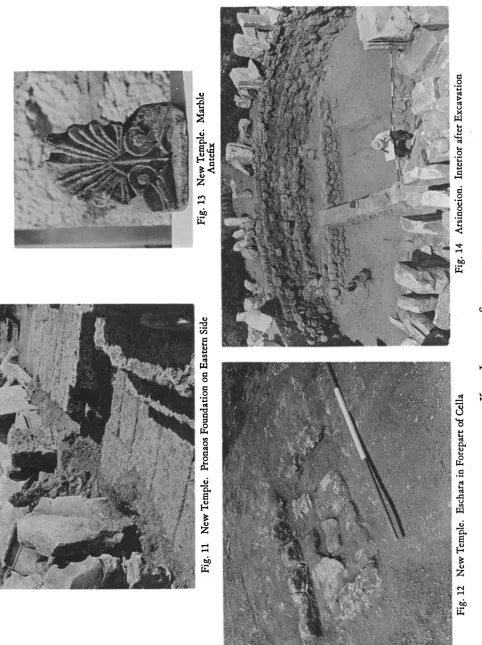 Fig. 13 New Temple. Marble Antefix 