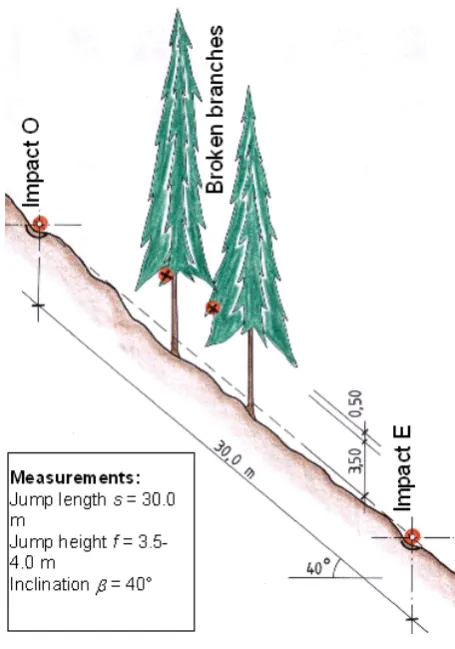 Fig. 7.Fig. 7. Schematic illustration of rockfall traces on the ground andtree branches Schematic illustration of rockfall traces on the ground andtree branches.