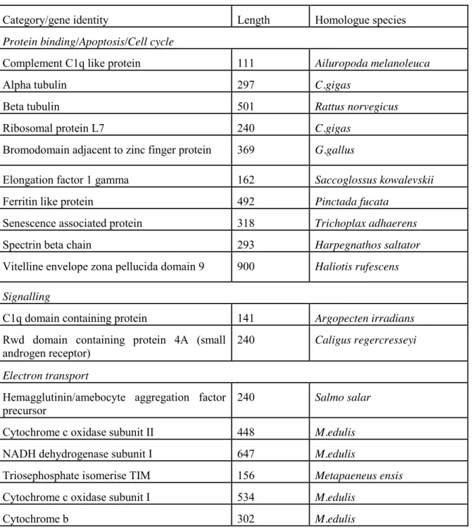 Table 5: Differentially expressed genes in testis of M. edulis at different stages of the reproductive  cycle and following experimental exposure (50ng/l E2)