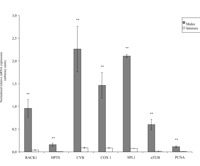Figure 18: qRT-PCR validation of differential screening results of S. plana. Histogram bars represent  normalized average relative mRNA expression ± standard error of the mean