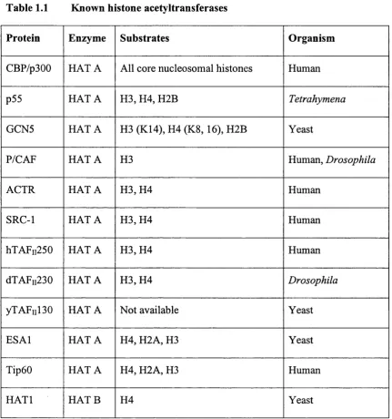 Table 1.1 Known histone acetyltransferases