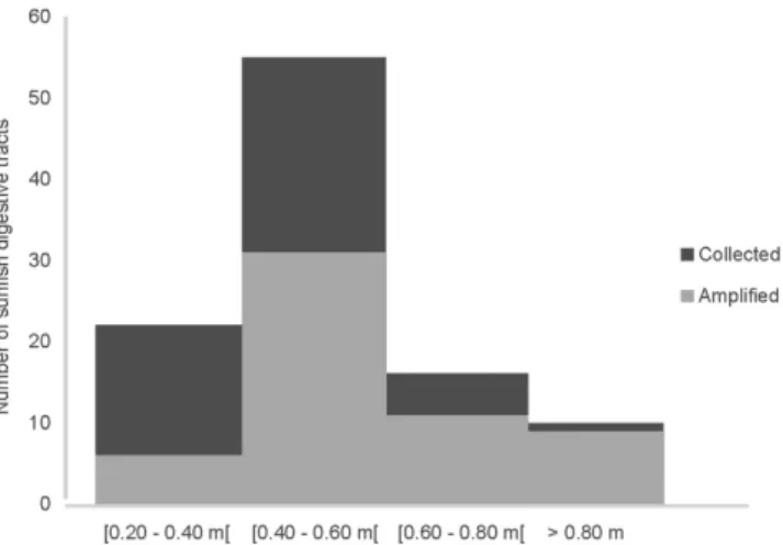 Figure 1.  Individual sunfish sizes classes, from which digestive tracts were collected (black) and respectively  amplified (grey).