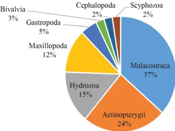 Figure 2.  Summary of the prey taxa identified from sunfish consumed items.