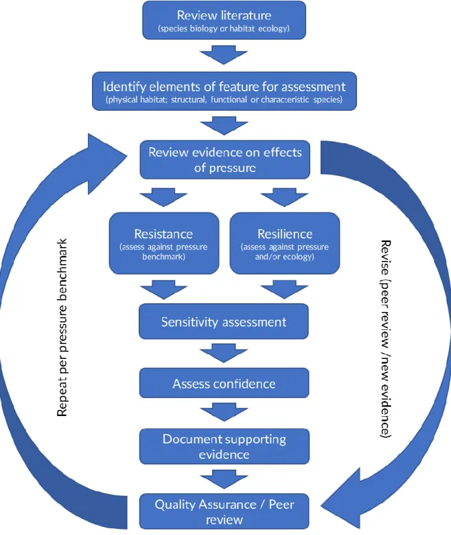 Figure 1. Overview of the sensitivity assessment process 