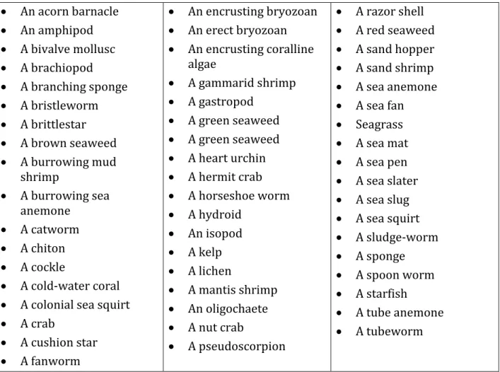 Table A3.1.  Standard common names and their correct syntax 