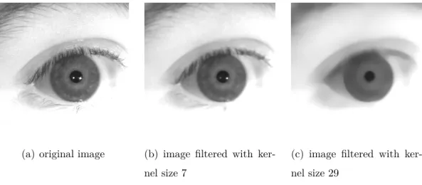 Figure 2.1: The two images on the right depict the effect of Median Filtering with kernel