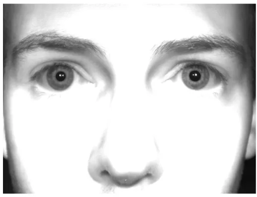 Figure 3.6: Example for a face recorded with the first Basler camera setup at the maximum