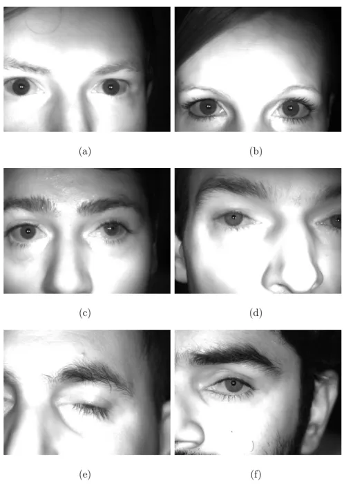 Figure 4.1: Samples from the self-recorded database. The images in this database contain