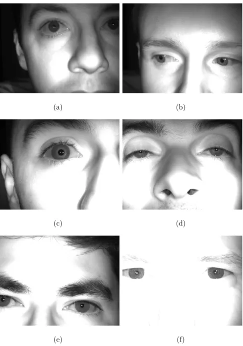 Figure 4.2: Samples from the self-recorded database. The images in this database contain