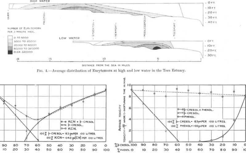 FIG. 4.-Average distribution of EurytenlOra at high and low water in the Tees Estuary.