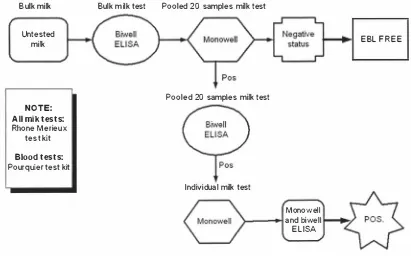Figure 2-9: A flow diagram of EBL testing procedures. 