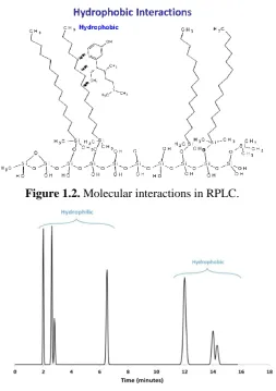 Figure 1.2. Molecular interactions in RPLC. 