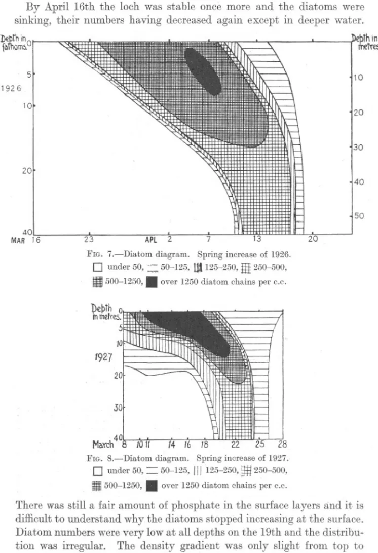 FIG. 7.-Diatom diagram. Spring increase of 1926.