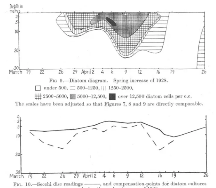 FIG 9.-Diatom diagram. Spring increase of 1928.