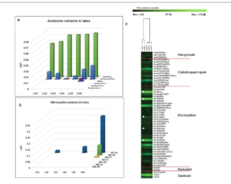 Figure 4 Comparison of HPLC/tandem mass spectrometry (MS-MS) measurements of anatoxin (A) and microcystin (B) toxins with the heatmap (C) of amplified signals of the expression pathways of all genes on the microarray across the Dutch lakes, LA3 was not hyb