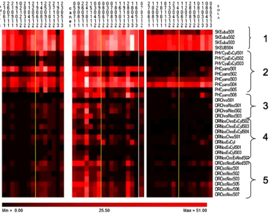 Fig. 5. Heat maps for the genus level probes for the cyanobacteria across the freshwater marine interface from left to right