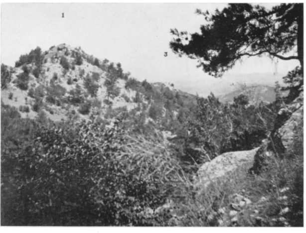 Fig. 9. Acropolis from Necropolis Hill, Looking Northwest 
