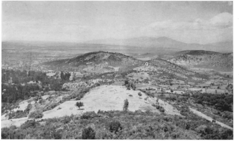 Fig. 3. View from Village of City Triangle. In the Heavy Grove of Poplars at the Left Lie the Stream and Looking Ledge of Rock between Peak of Acropolis and Main Terrace, North