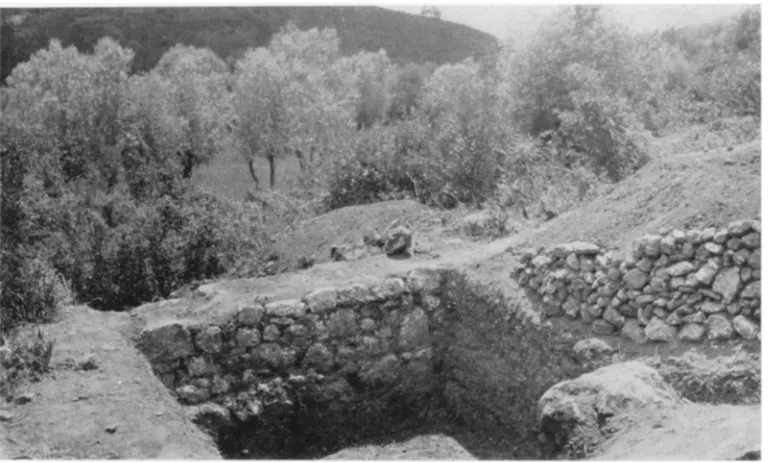 Fig. 4. Foundations of Peribolos in Valley, Showing Outer Face of Inner (West) Wall. Trees Just Beyond Mark Course of Kabakli-dere 