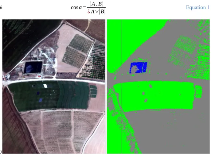 Figure 6. (Left) the original hyperspectral image; (Right) the classification of the image, where different colours denote the different classes (blue = water, grey = mineral, green = vegetation)