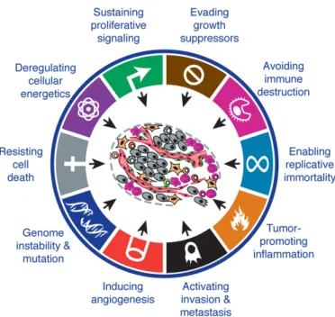 Figure 1.1: Capabilities acquired during tumorigenesis. (Reprinted from Hanahan and Weinberg (2011), Copyright (2011), with permission from Elsevier)