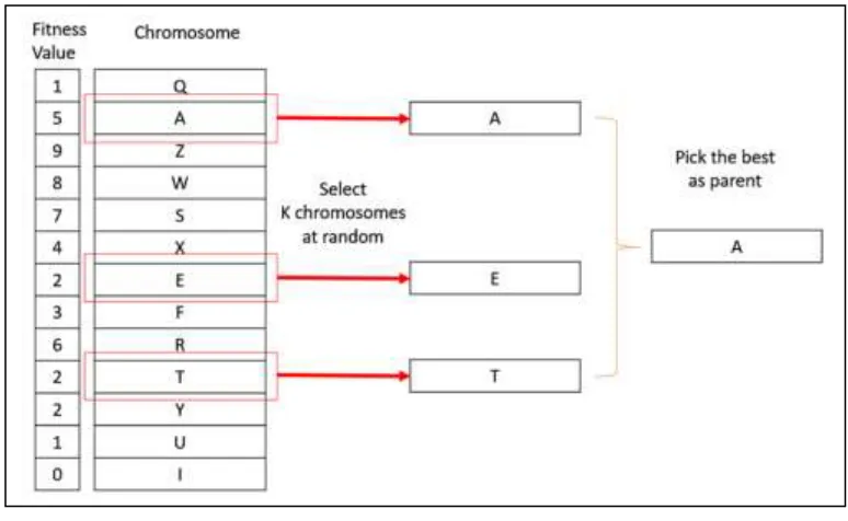 Fig. (7): A graphical representation of tournament selection. 