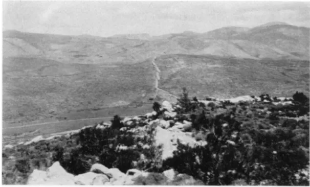 Fig. 7. Face of Wall at Southern End (Visible Also in Fig. 6). Rubble Masonry 