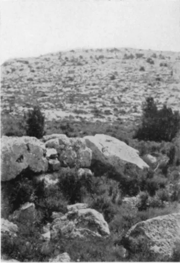 Fig. 5. Southern End of Wall : Looking the down-slope of the valley are visible in Fig