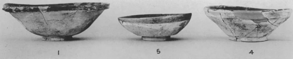 Fig. 23. Group 7 