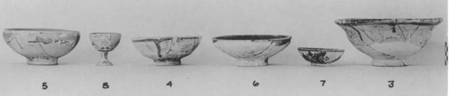 Fig. 27. Group 9 