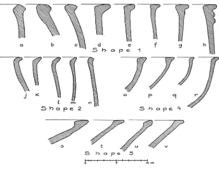 Fig. 25. Rim Profiles of Large Open Vessels 