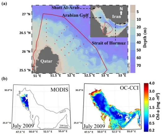 Figure 1. Bathymetry of the Arabian Gulf and ocean colour data availability (a) Sampling stations  along Qatar’s Exclusive Economic Zone (EEZ)