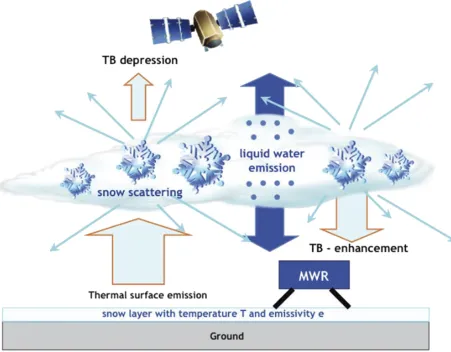 FIG. 10-6. Illustration of the effects of liquid water and snow crystals on microwave TB measured at surface level and from space.Figure from Löhnert et al