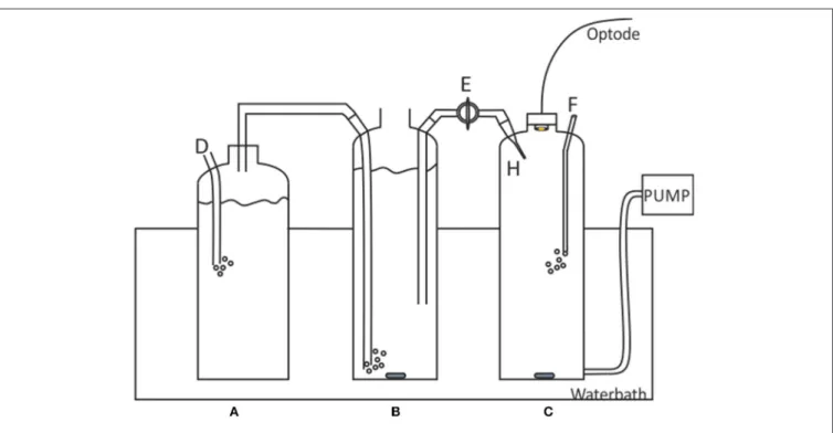 FIGURE 2 | Schematic of the Sosna calibration rig. A, 1.5 L Gas humidifier; B, 2L saturated solution; C, 2L sample solution; D, CO 2 gas tube to CO 2 /N 2 gas cylinder; E, Bridge with valve; F, nitrogen gas inlet; H, Saturated solution inlet capillary